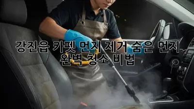 강진읍 카펫 먼지 제거🧹! 숨은 먼지 완벽 청소 비법